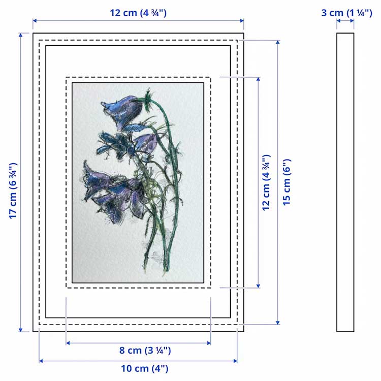 Harebell mini sketch