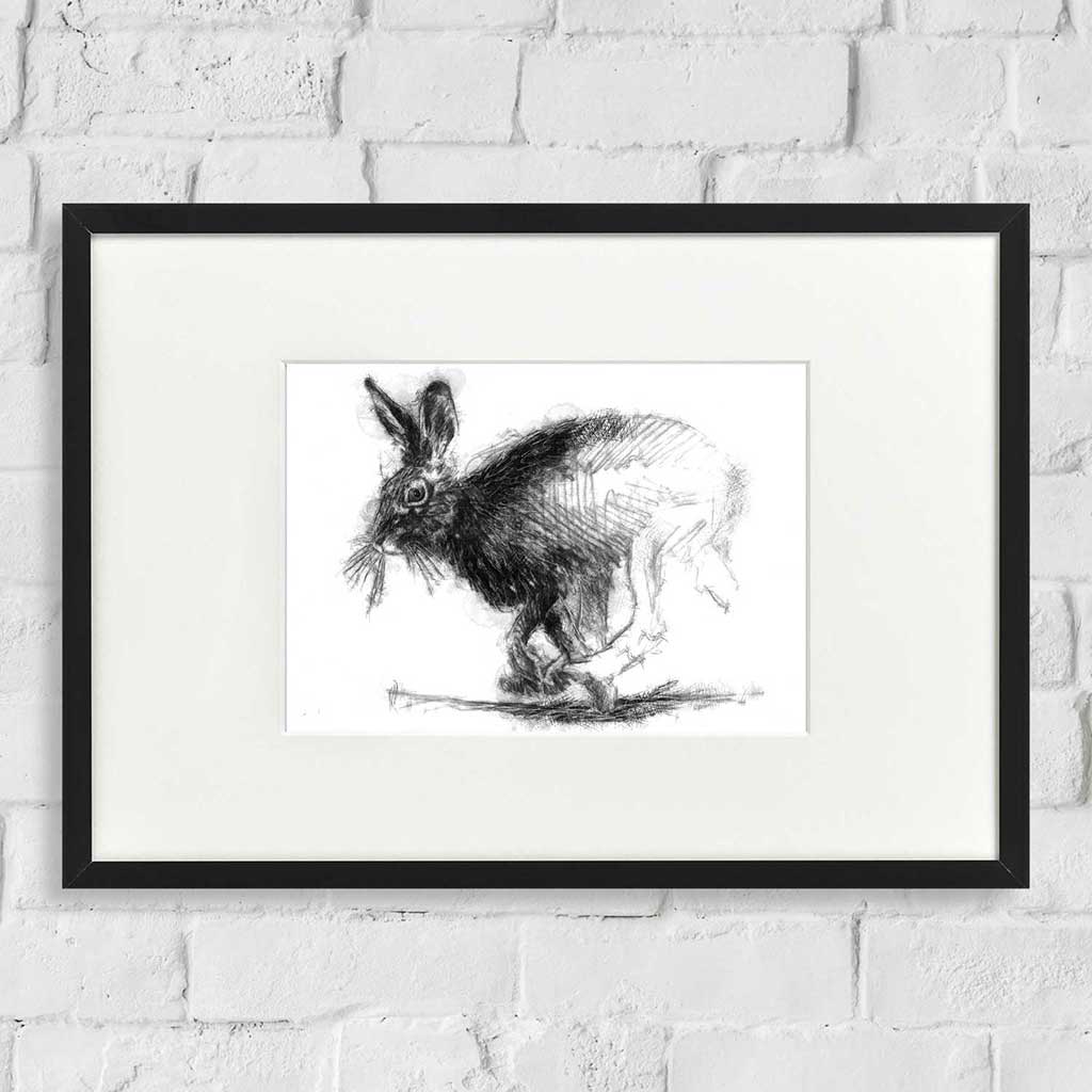 Brown hare