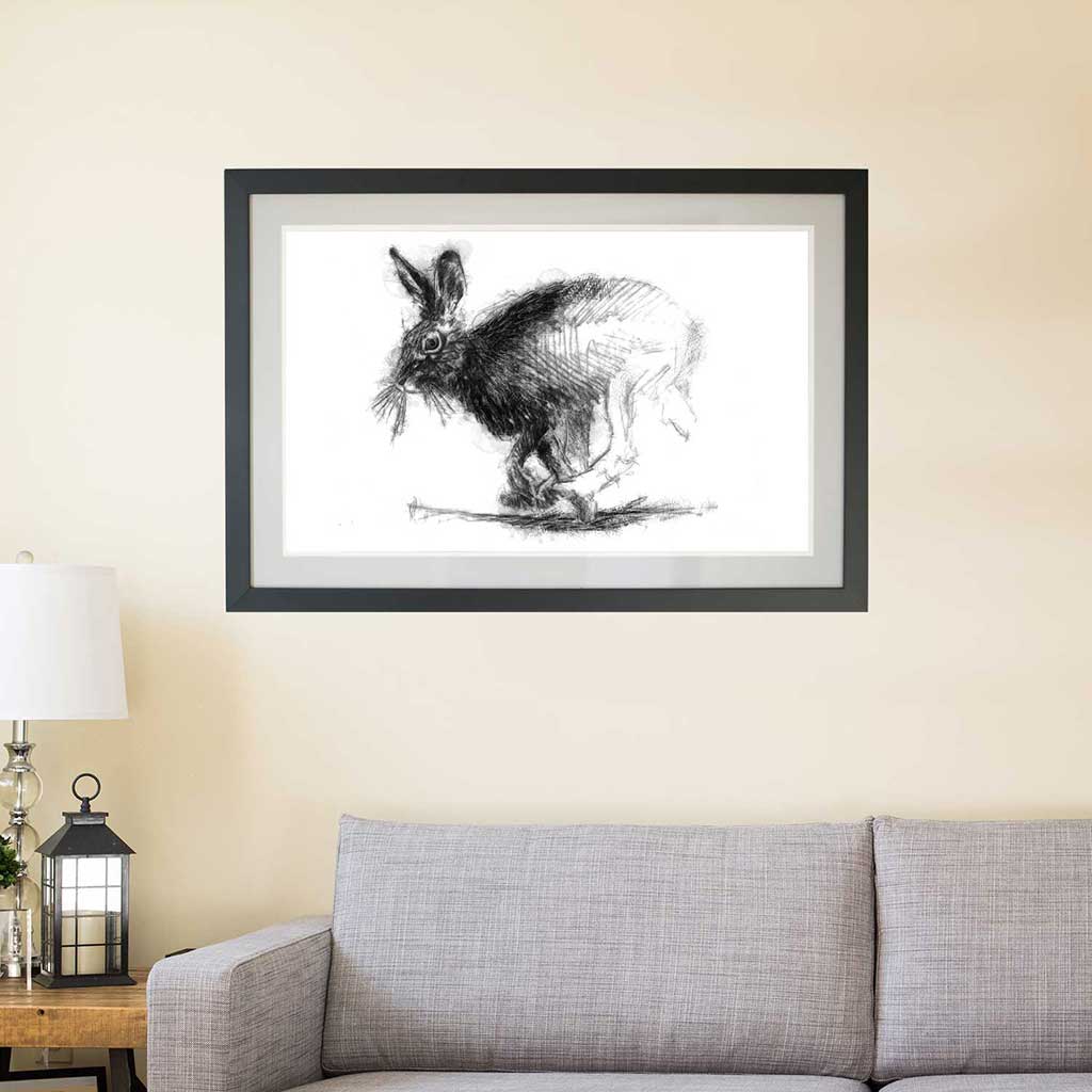 Brown hare