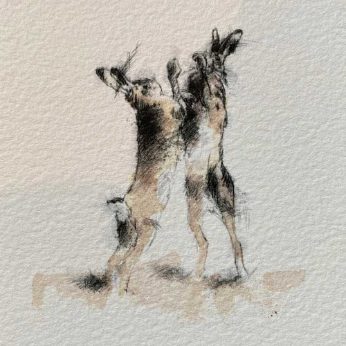 Boxing hares mini sketch