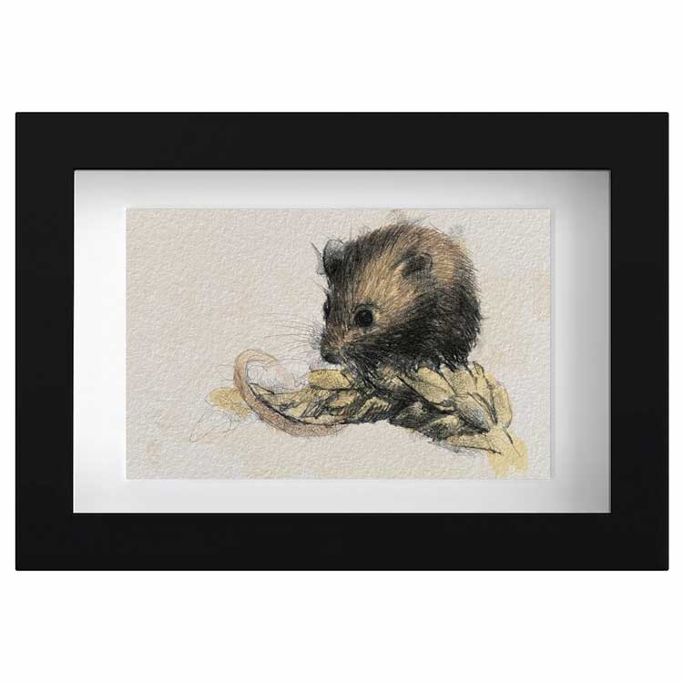 Harvest mouse mini sketch