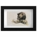 Harvest mouse mini sketch