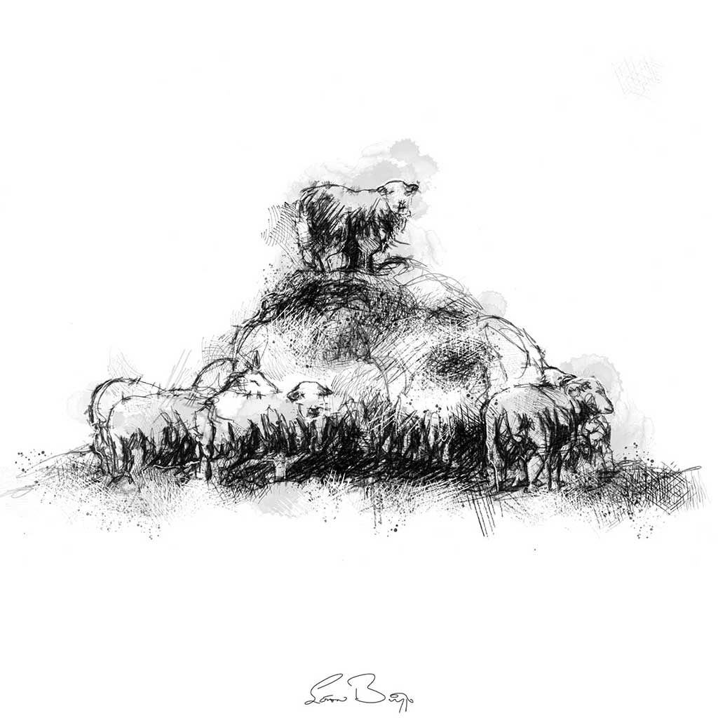 Sheep feeding heap