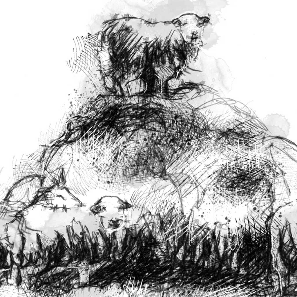 Sheep feeding heap