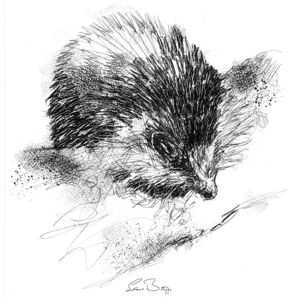 Hedgehog