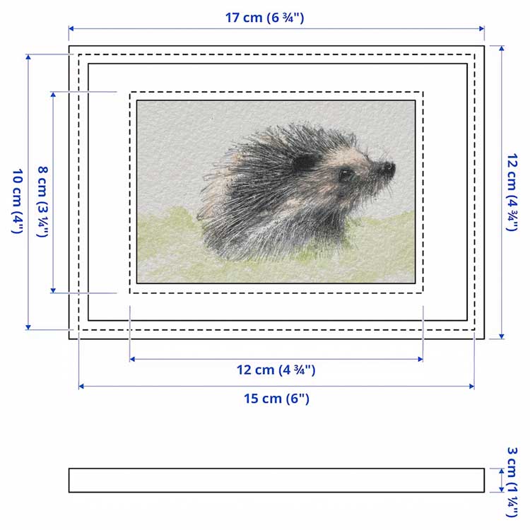 Hedgehog mini sketch