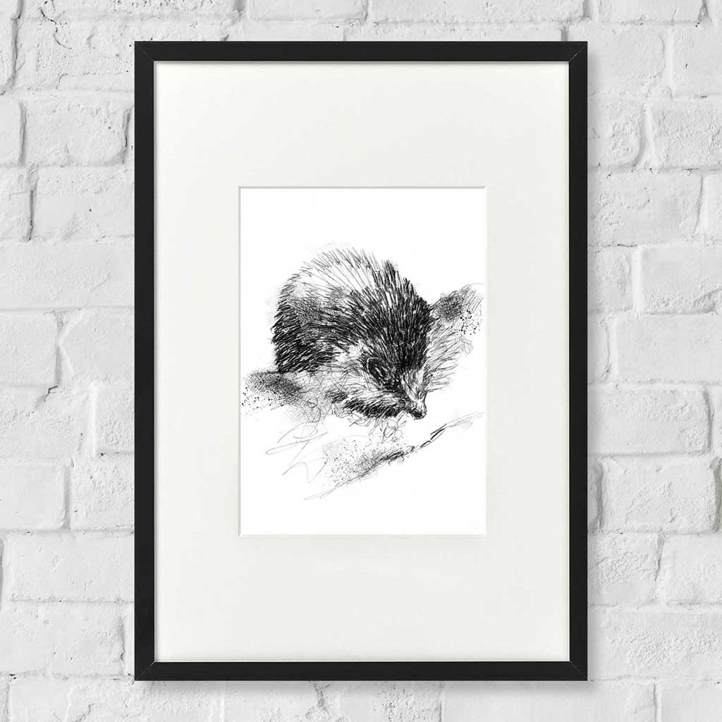 Hedgehog