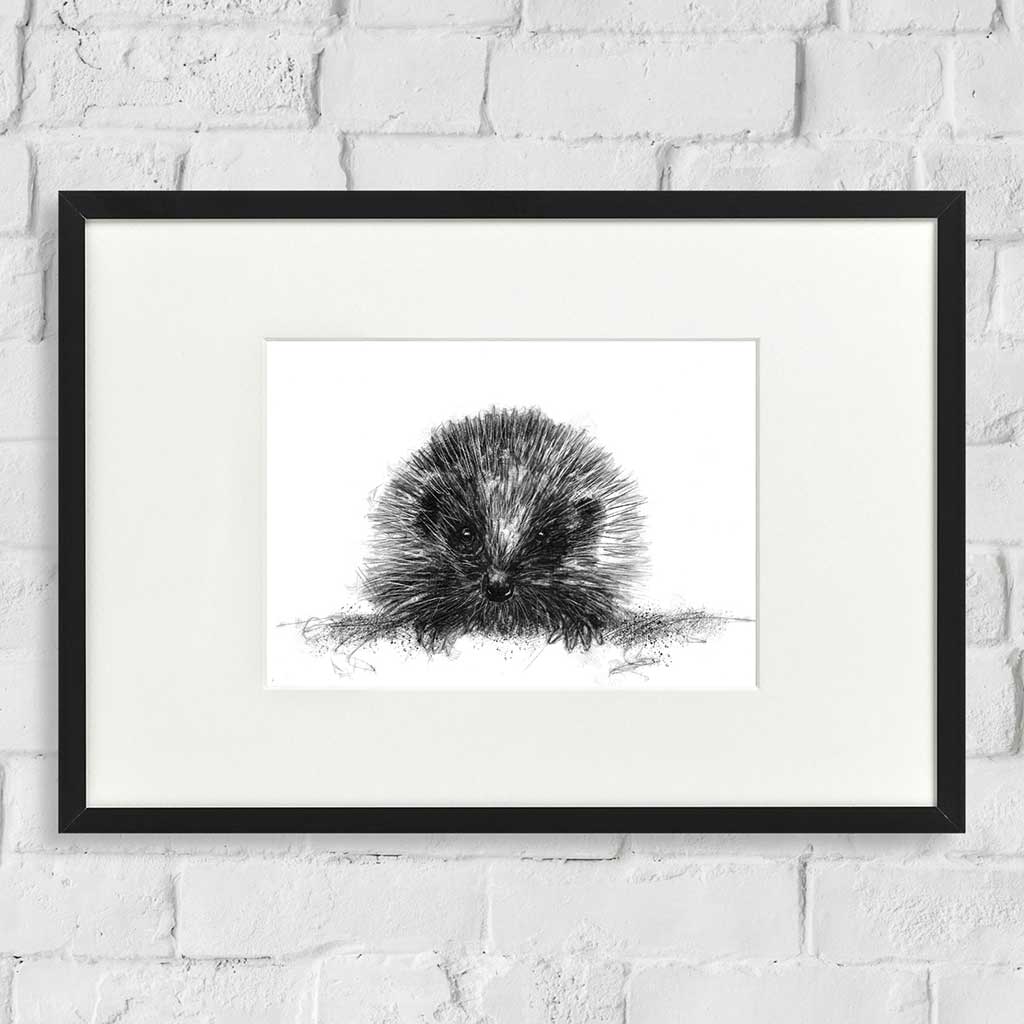 Hedgehog