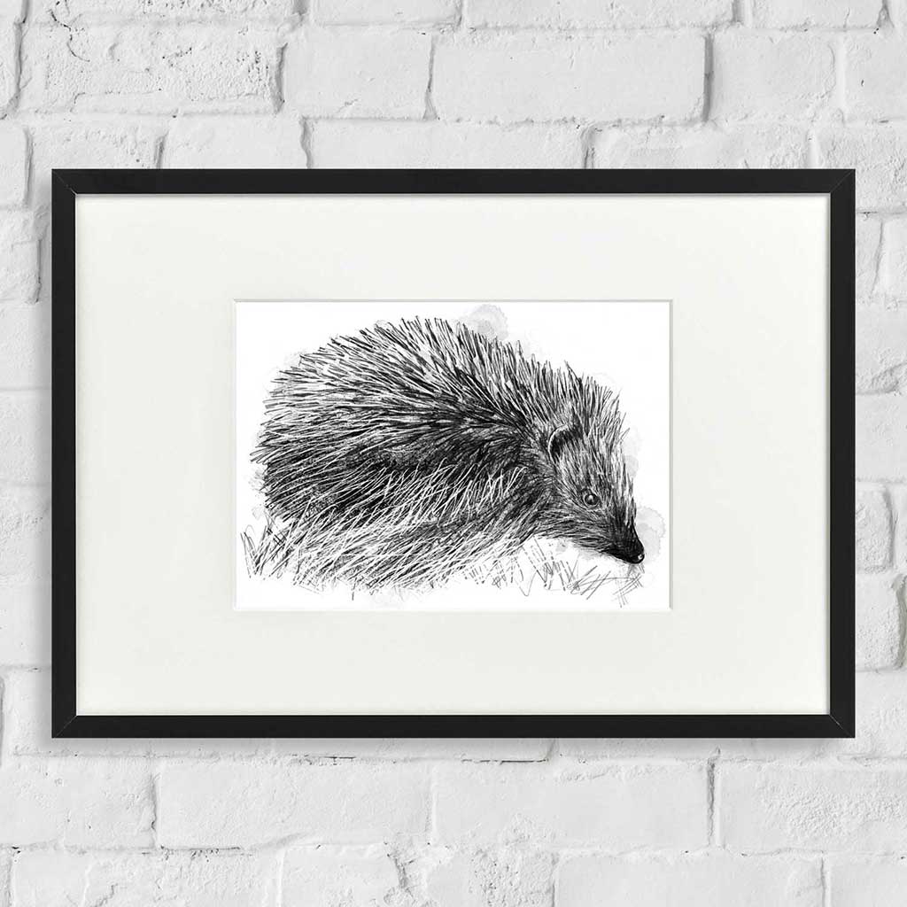 Hedgehog