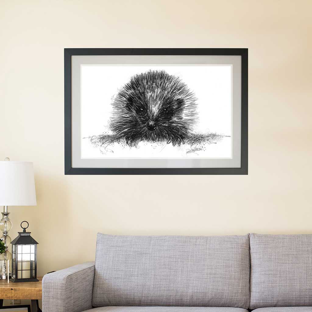 Hedgehog