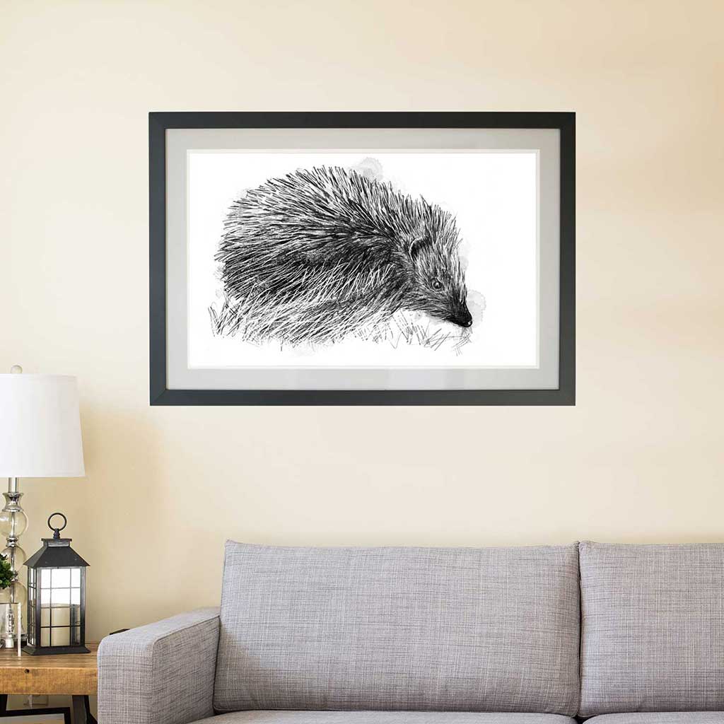 Hedgehog