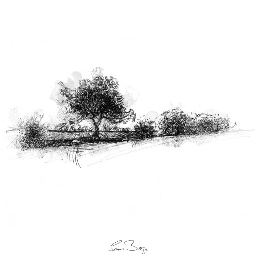 Hedgerow