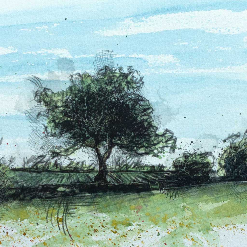 Hedgerow