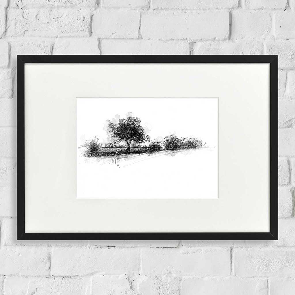 Hedgerow