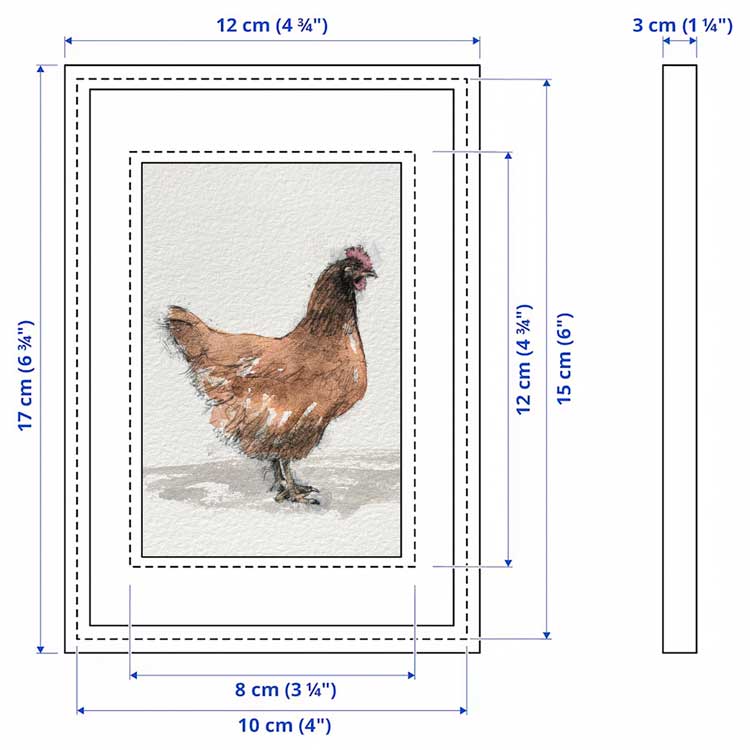 Red hen mini sketch