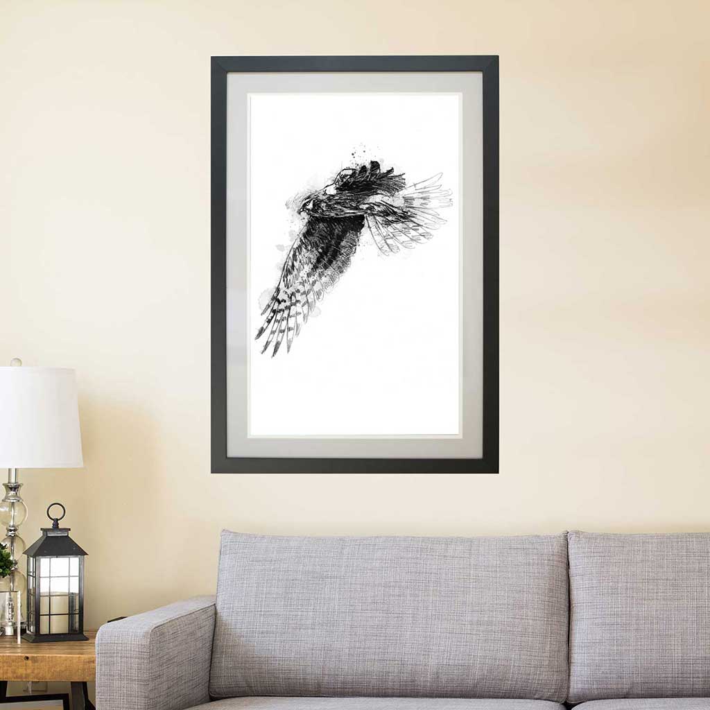 Hen harrier
