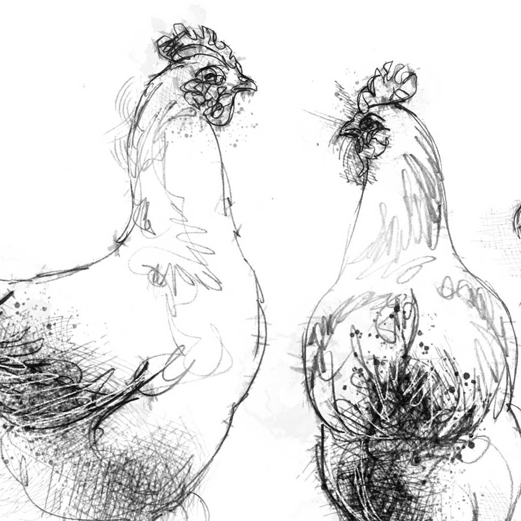 Three hens