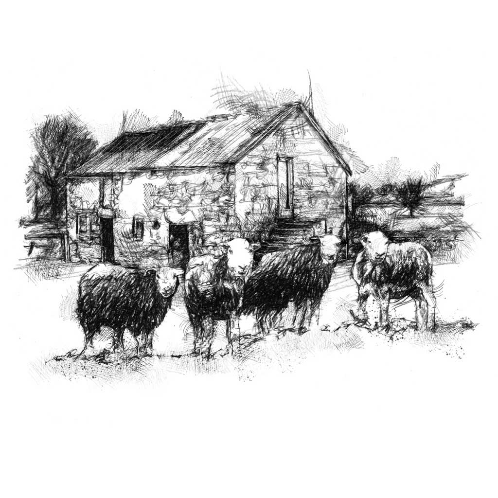 Herdwick old barn