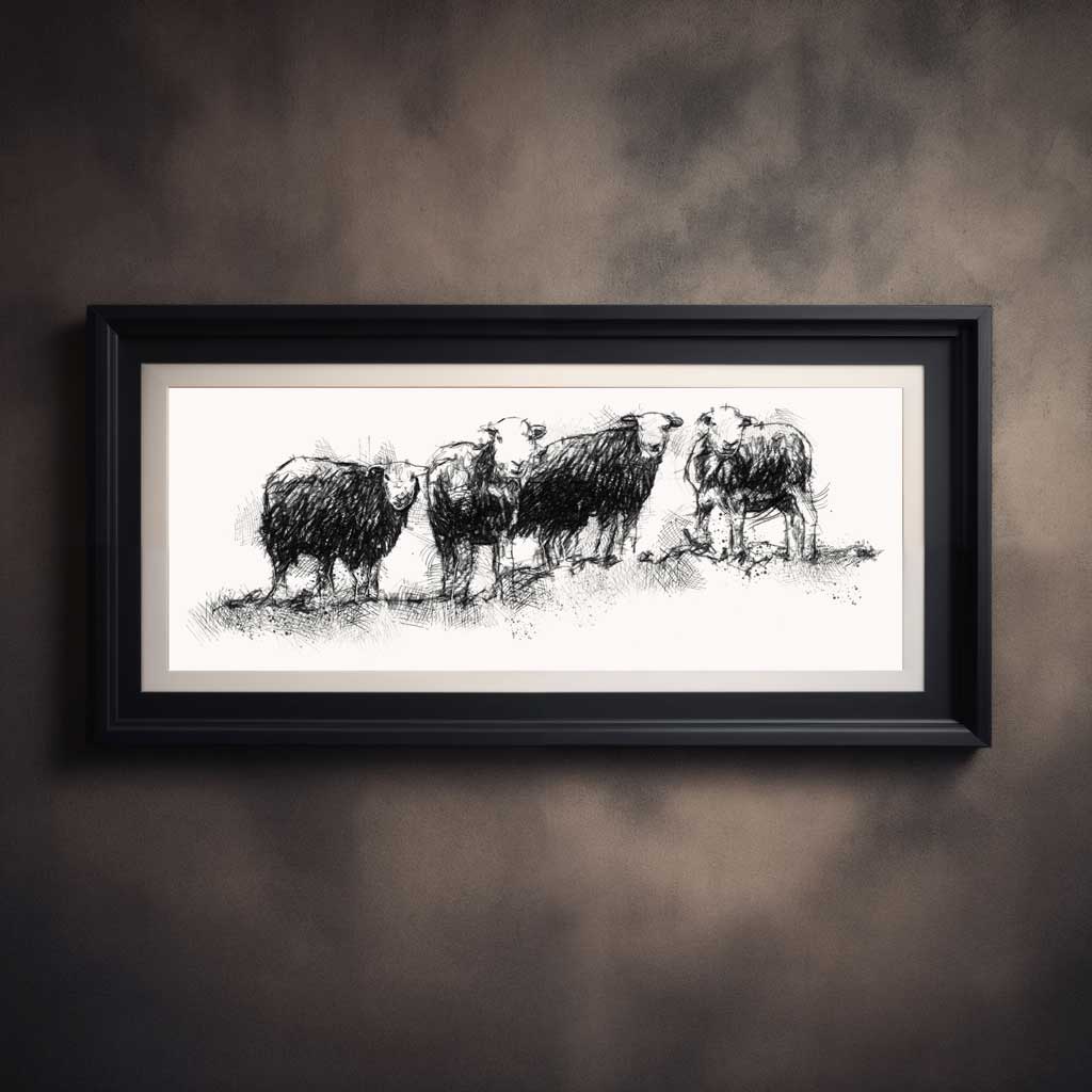 Herdwick sheep line wide format