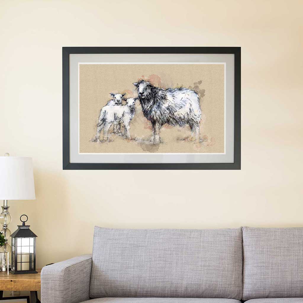 Herdwick sheep and lambs
