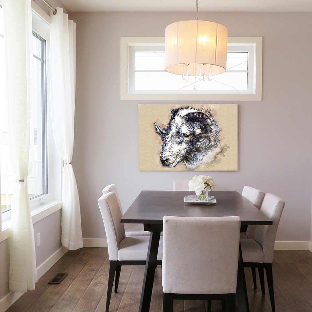 Herdwick ram