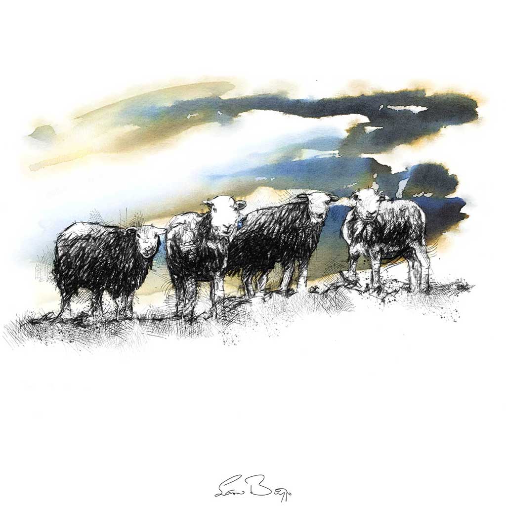 Sheep skyline