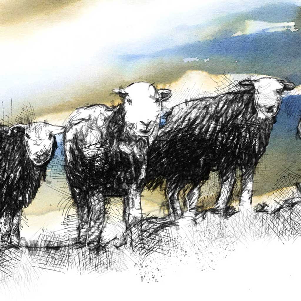 Sheep skyline