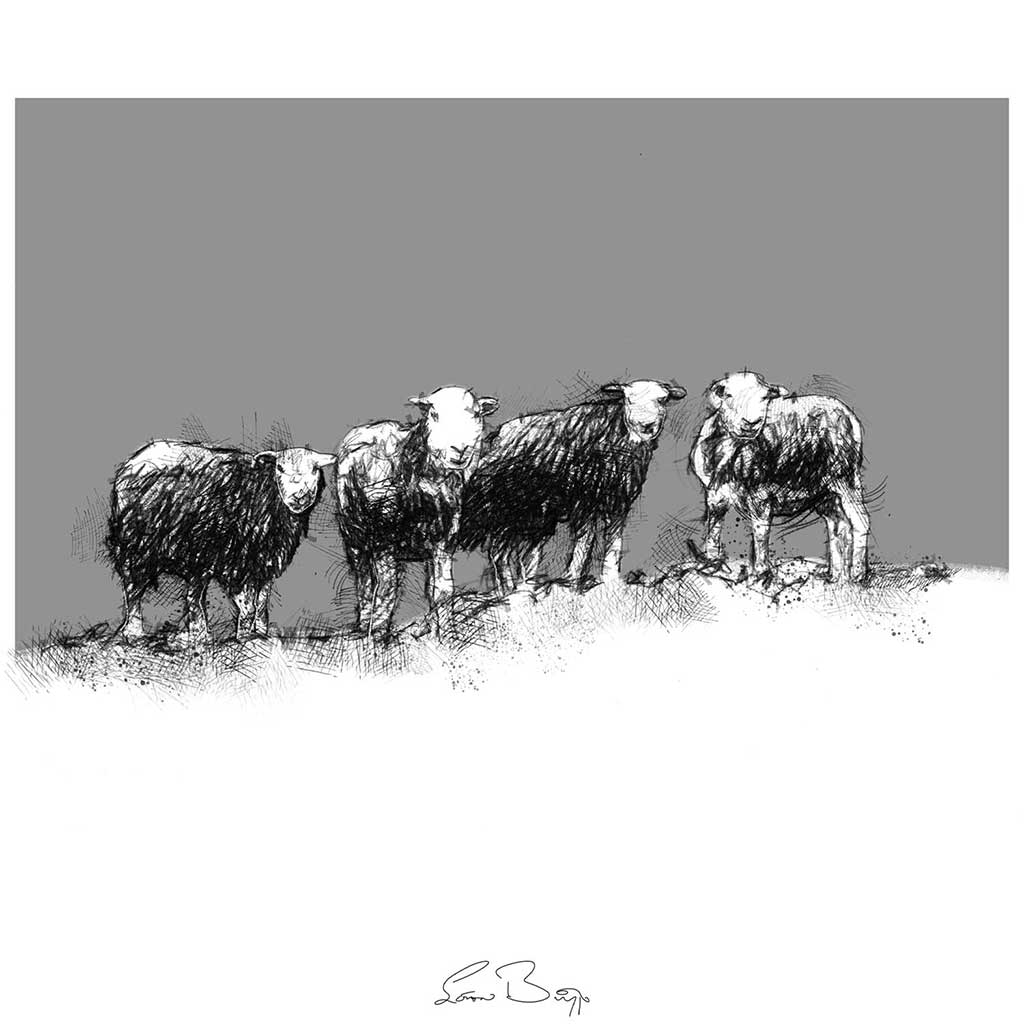 Sheep snowline