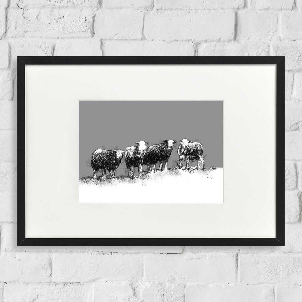 Sheep snowline