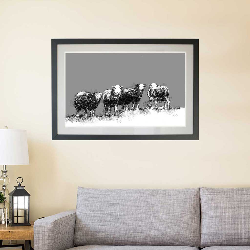 Sheep snowline