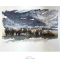 Hereford herd storm