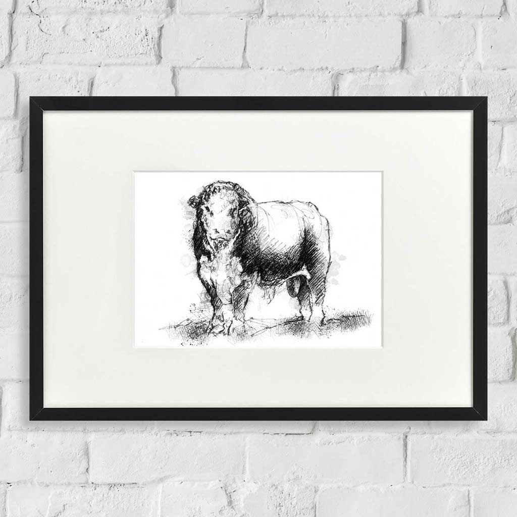 Hereford bull