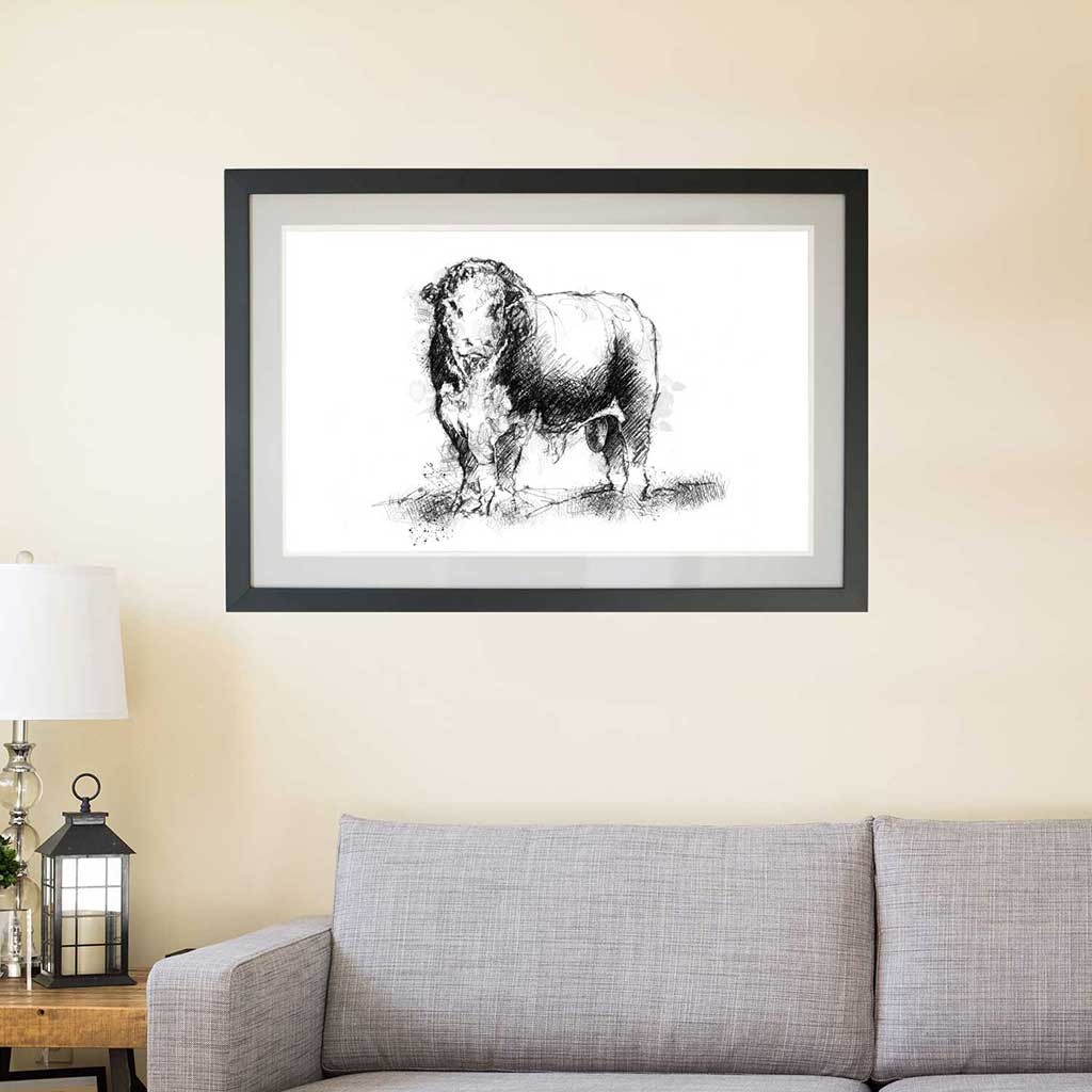 Hereford bull