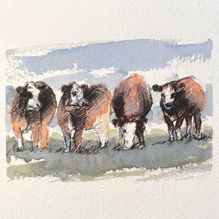 Hereford cows original mini sketch