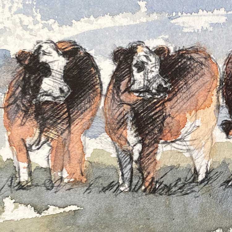 Hereford cows original mini sketch