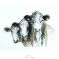 Hereford cows watercolour