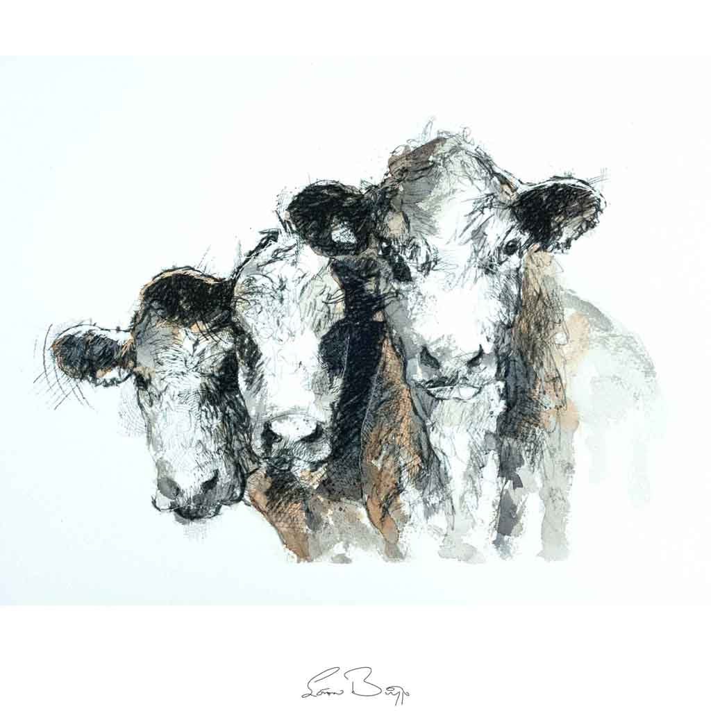 Hereford cows watercolour