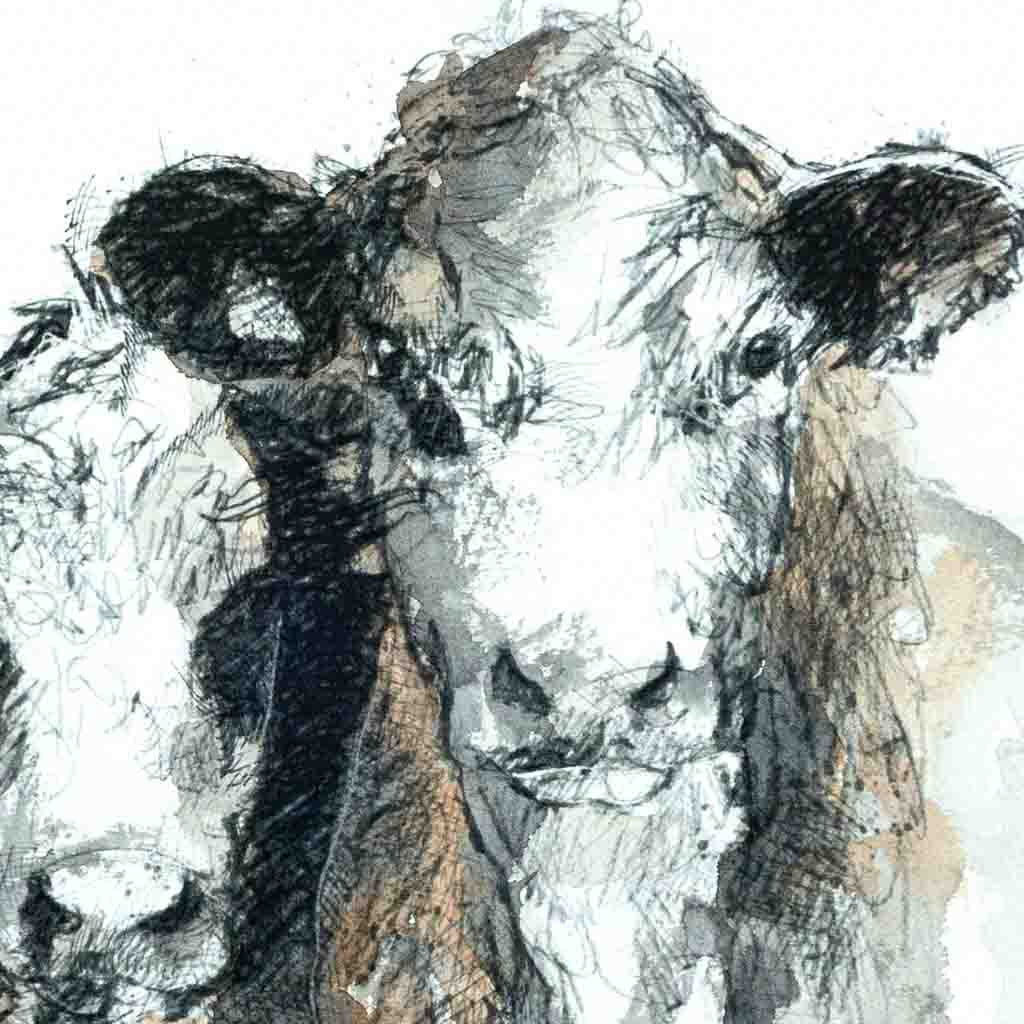 Hereford cows watercolour