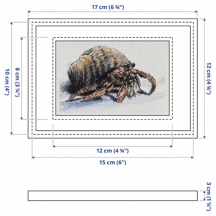 Hermit crab mini sketch