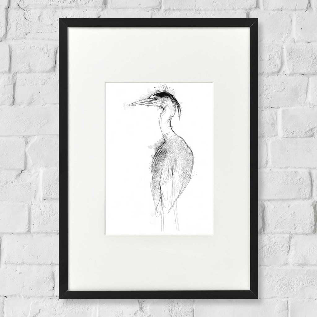 Grey heron