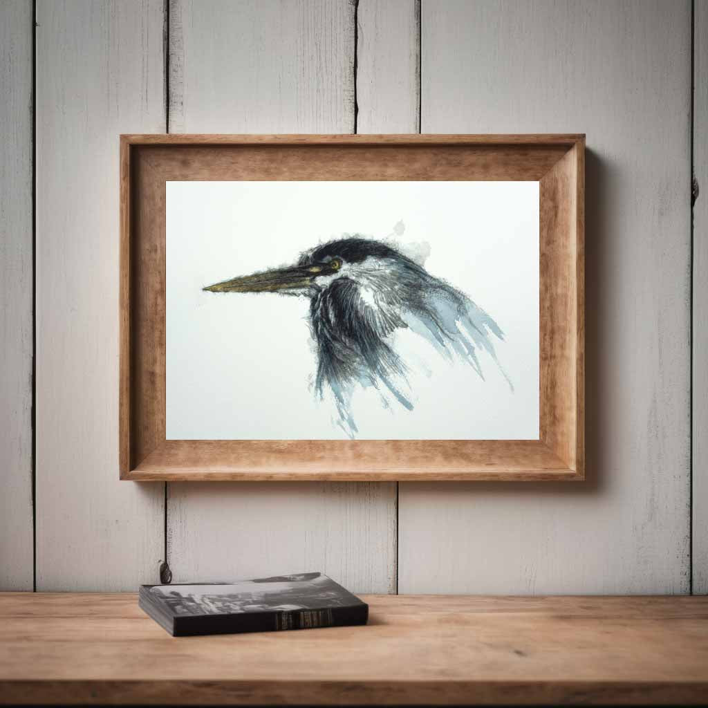 Grey heron
