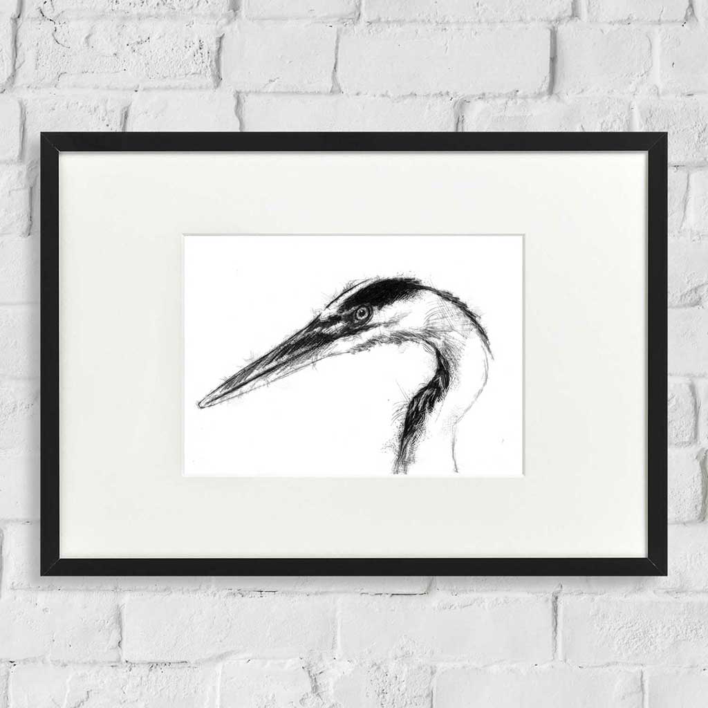 Heron head
