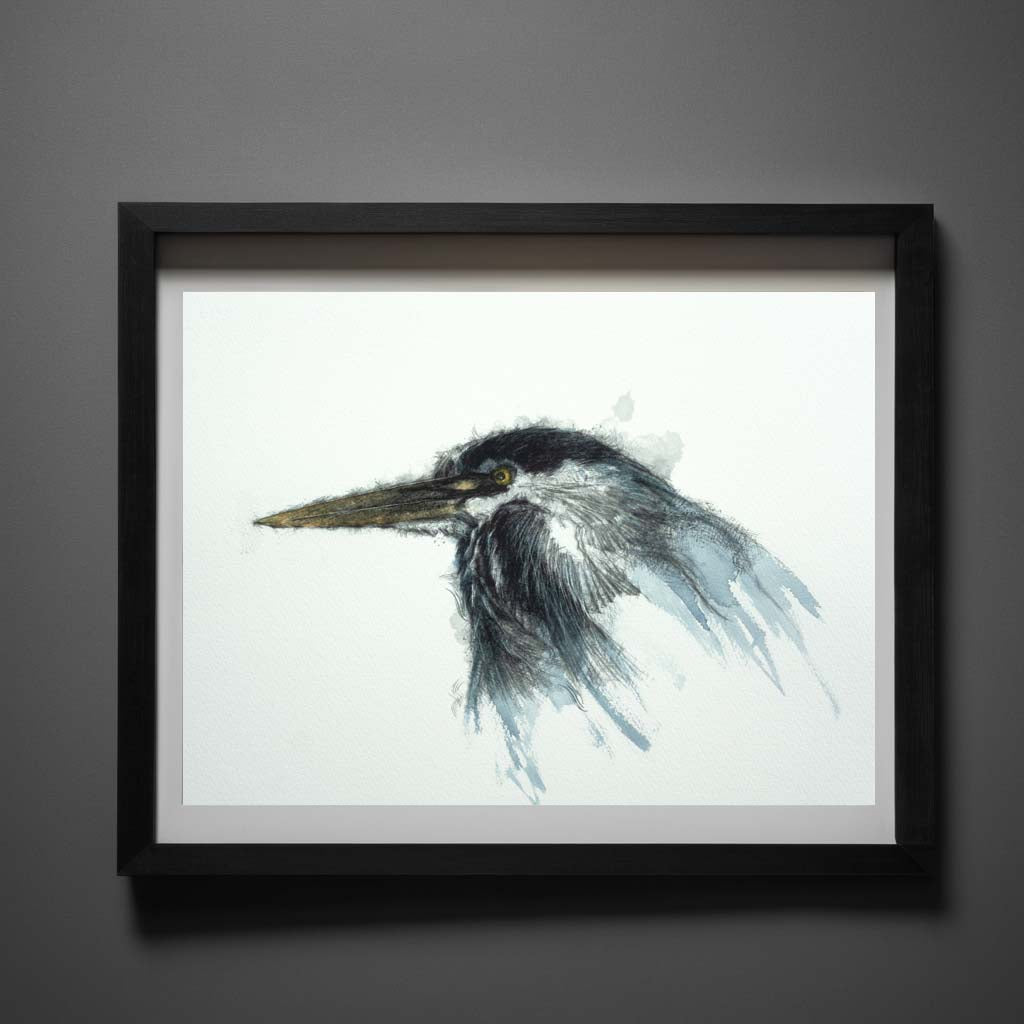 Grey heron