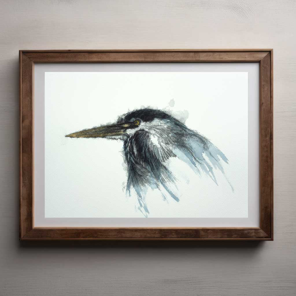 Grey heron
