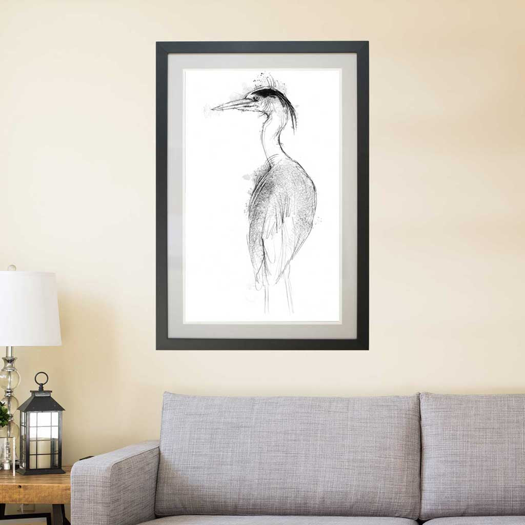 Grey heron