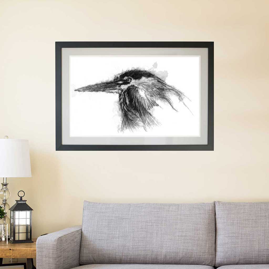 Grey heron