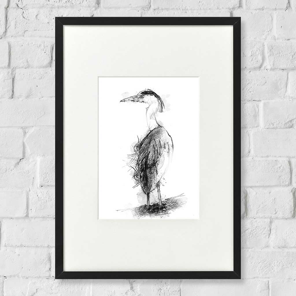 Grey heron