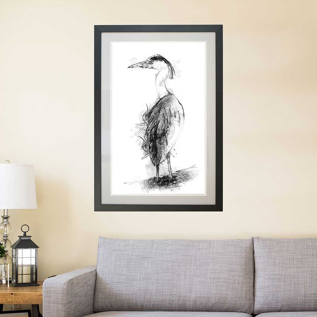 Grey heron