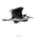 Heron flight