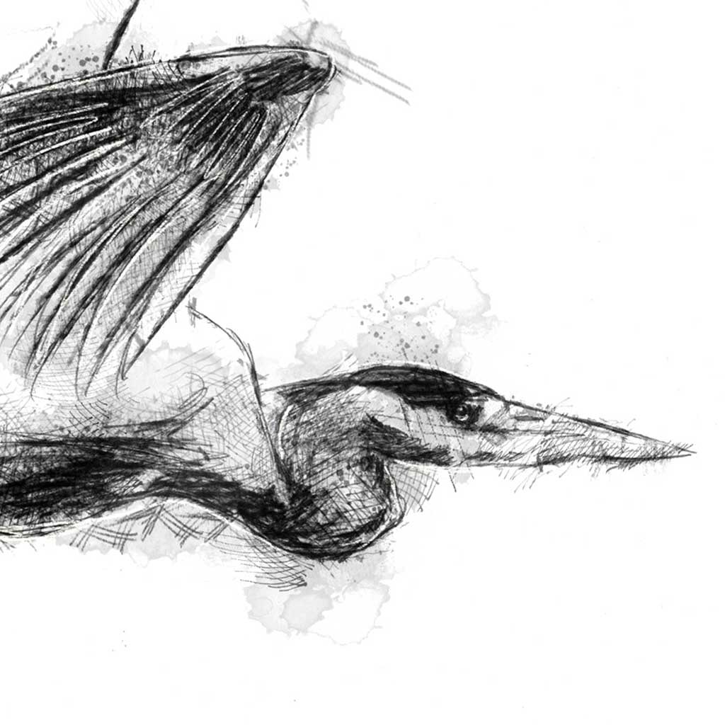 Heron flight